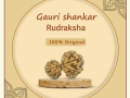 gauri-shankar-rudraksha-small-0