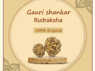 Gauri shankar rudraksha