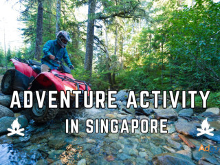 Explore the Wild Side of Singapore: A Thrilling Adventure Experience