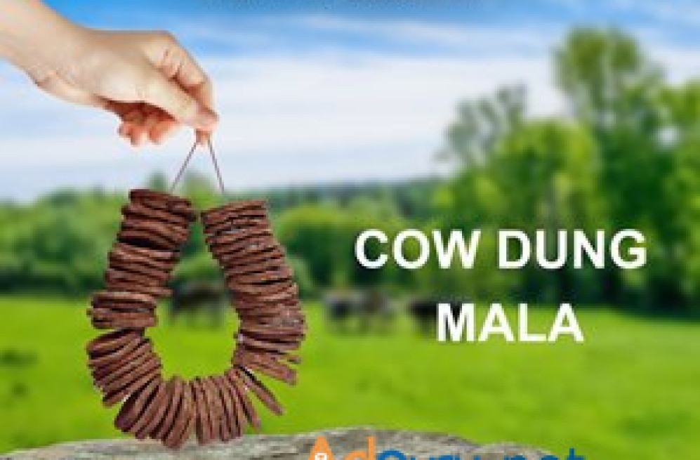 cow-dung-in-flipkart-big-0