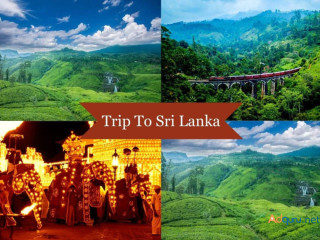 Sri Lanka After Dark: Unveiling a Vibrant Nightlife Scene