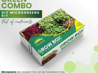 Order The Best Microgreen Growing Kit for Thriving Indoor Gardens by Sattvishtik.