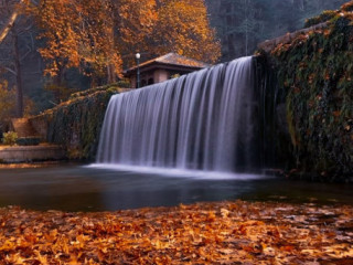 Embrace the Splendor of Autumn Season in Kashmir