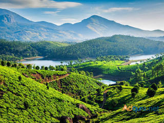 Experience Kerala's Beauty with WanderOn