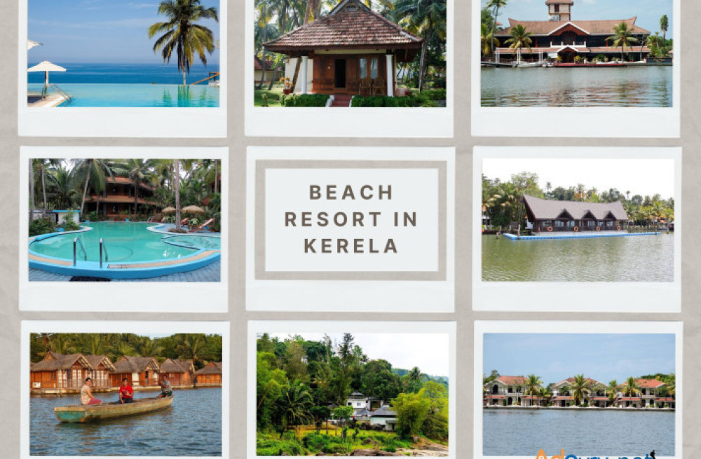 experience-the-best-of-kerala-with-our-exclusive-vacation-packages-big-0