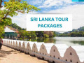 explore-the-jewel-of-the-indian-ocean-sri-lankan-tour-packages-with-wanderon-small-0