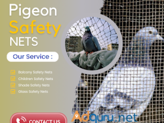 Pigeon Safety Nets in Chennai