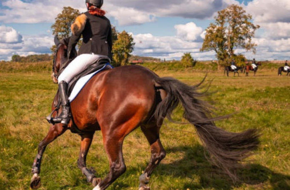 experience-the-charm-of-pony-ride-in-kashmir-big-0