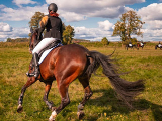 Experience the Charm of Pony Ride in Kashmir