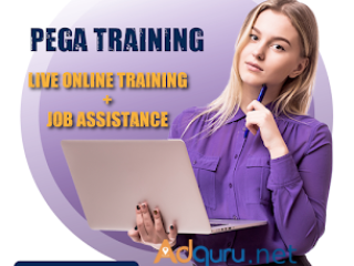 Best Pega Training Online Hyderabad