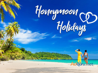 15+ Best Honeymoon Packages - Domestic And International