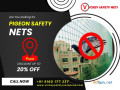 protect-your-property-with-vickey-safety-nets-the-ultimate-pigeon-safety-nets-in-pune-small-0