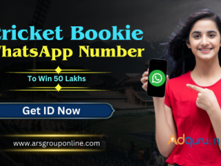 Best Cricket Bookie WhatsApp Number Provider in India