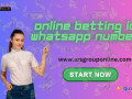 win-money-with-online-betting-id-whatsapp-number-small-0