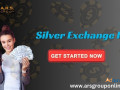 looking-for-silver-exchange-id-online-small-0