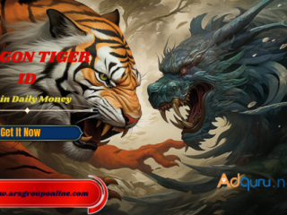 Gain Your Dragon Tiger ID for Big Win