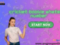 win-money-daily-with-cricket-bookie-whatsapp-number-small-0