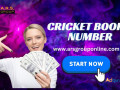 win-big-cash-with-cricket-bookie-number-small-0