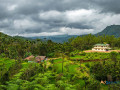 enchanting-kerala-a-6-day-romantic-getaway-small-0