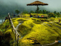 unveil-the-beauty-of-meghalaya-a-backpacking-tour-with-wanderon-small-0