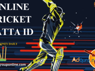 Best Online Cricket Satta ID Provider in 2024