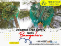 coconut-tree-safety-nets-in-bangalore-prestige-safety-nets-small-0