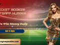 indias-most-reliable-cricket-bookie-whatsapp-number-in-surat-small-0