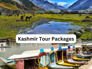 Explore Paradise: Kashmir Tour Packages