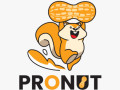 pronut-peanut-butter-manufacturer-in-india-small-0