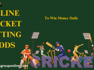 Best Online Cricket Betting Odds Provider in India