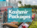 discover-enchanting-kashmir-with-wanderon-unbeatable-kashmir-packages-small-0