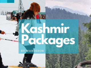 Unbeatable Kashmir Trip Packages for an Unforgettable Vacation