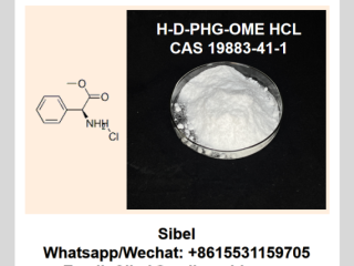 High Purity H-D-PHG-OME HCL 19883-41-1 for Sale