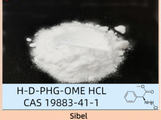 Order High Quality H-D-PHG-OME HCL 19883-41-1