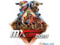 mxgp-2019-the-official-motocross-videogame-small-0