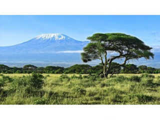 Amboseli Affordable Safari