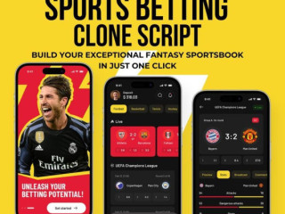 Plurance's sports betting clone script - For great success