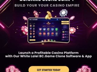 White Label BC.Game Clone Software: The Key to Your Casino Success