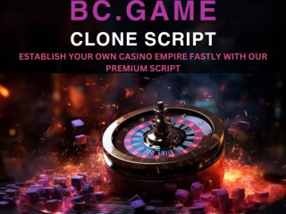 Plurance's bc game clone script - Your key to success