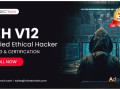 unlock-your-cybersecurity-potential-with-ceh-v12-training-small-0