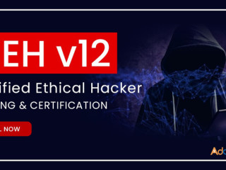 Achieving Ethical Hacker Online Training InfosecTrain