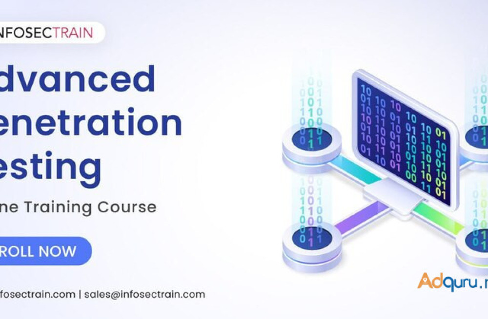 achieving-penetration-testing-online-training-infosectrain-big-0