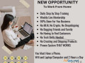 video-reveals-how-to-earn-10kmonth-by-2-hours-workday-small-0
