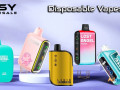 best-disposable-vape-disposable-vapes-usa-best-disposable-e-cig-devices-easywholesale-small-0