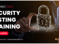 security-testing-online-training-small-0