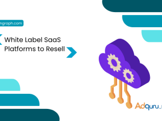 Best White Label Saas Platforms to Resell in 2024