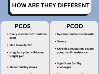 Polycystic Ovarian Syndrome Treatment in USA