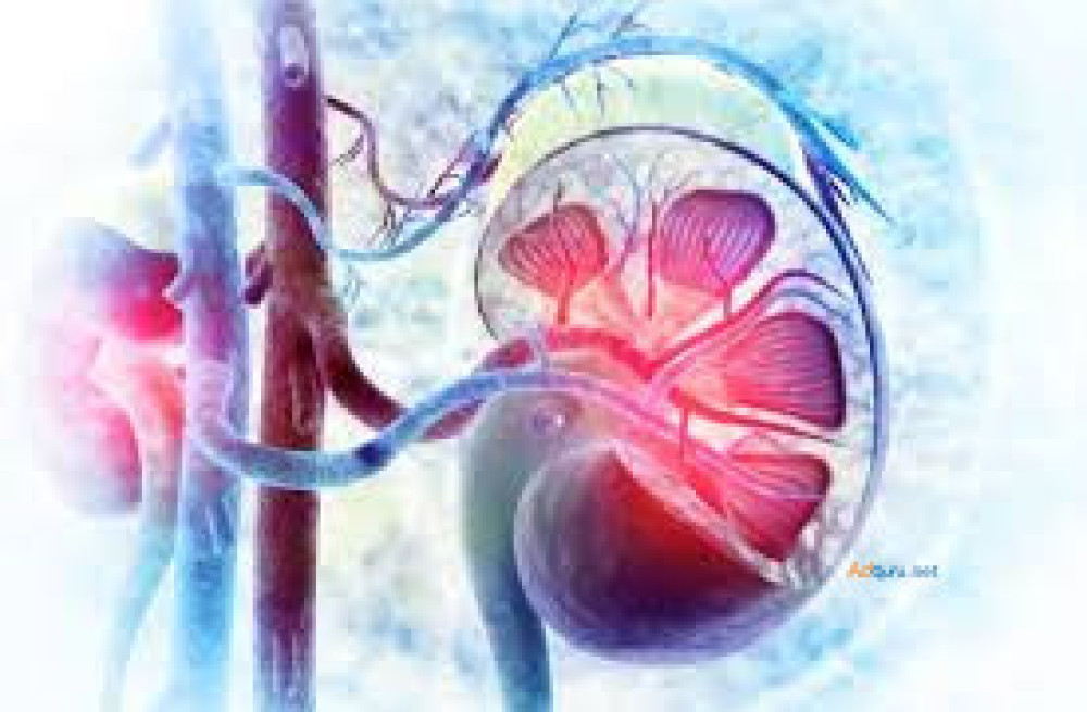 sirolimus-vs-tacrolimus-big-0