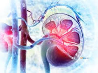 Sirolimus vs tacrolimus