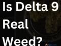 is-delta-9-real-weed-small-0